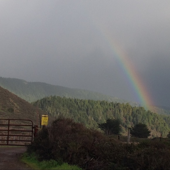 Meet your Posher, Jennifer - Picture 3 of 8